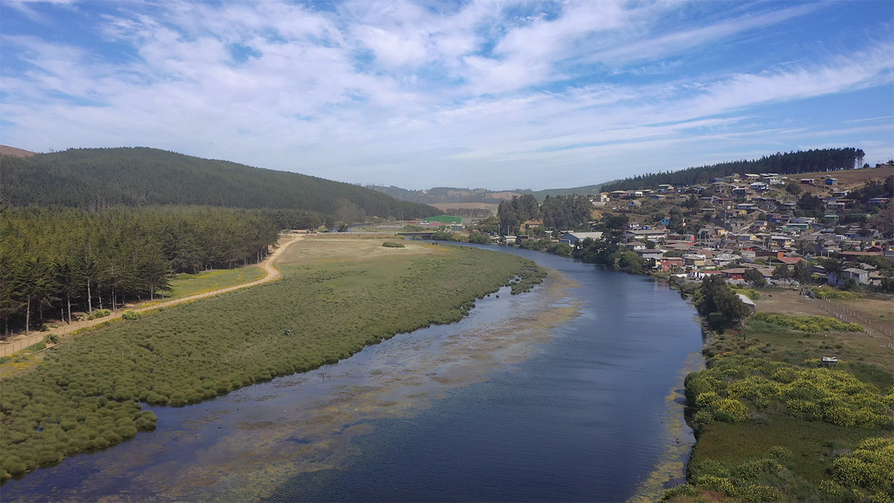 Vista panorámica del mar y el bosque de Bucalemu.